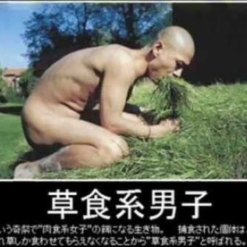 日歯 技工