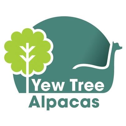 Yew Tree Alpacas is a rural alpaca business based around our herd of 40 alpacas. We are based in rural East Hertfordshire & offer alpaca walks & adventures.