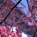 Timothy Christensen - @timothy74505575 - Twitter