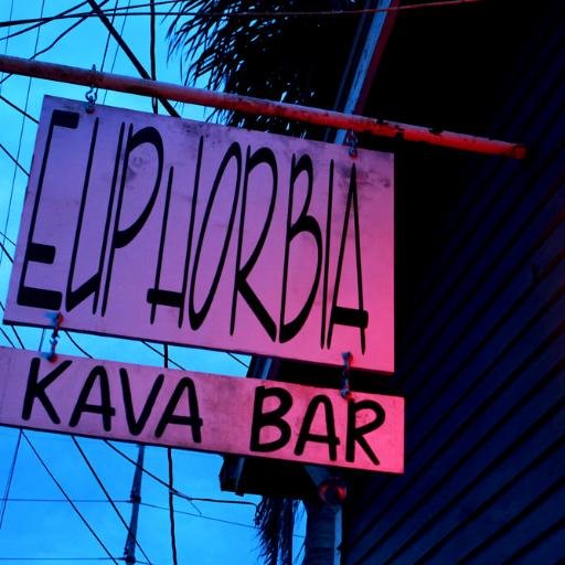 EuphorbiaKava's profile picture. The Euphorbia Kava Bar of New Orleans specializes in kava drinks & treats. Local works of art & an inventory of small plants and Bonsai trees are also available