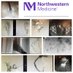 NorthwesternIR (@northwesternir) Twitter profile photo NorthwesternIR (@northwesternir) Twitter profile photo