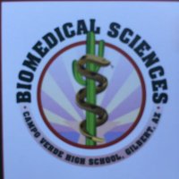 CVBiomed(@cv_biomed) 's Twitter Profile Photo