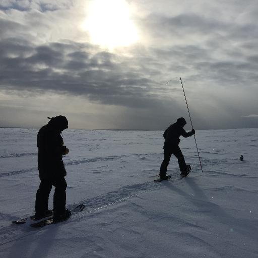 Research in the Arctic Landscape Ecology Lab focusses on landscape change in the Western Arctic, and is led by Dr. Trevor Lantz.