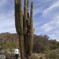 Samantha Walton (@mrsswalton) 's Twitter Profile