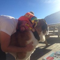 Maxime Barriere (@barrieremaxime) 's Twitter Profile