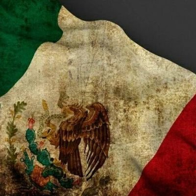 Politóloga http://mexicana.