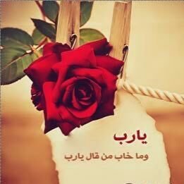 yara14alosimi's profile picture. وعن خبايا القدر اللّهم إختر لنا أجملها ❤