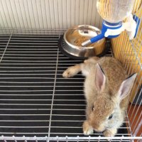 ItzBun (@itz_bun) Twitter profile photo
