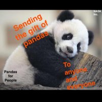 Pandas for People (@pandasforpeople) 's Twitter Profile