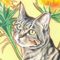 猫じゃらしの宿 (@1013tiggy) Twitter profile photo