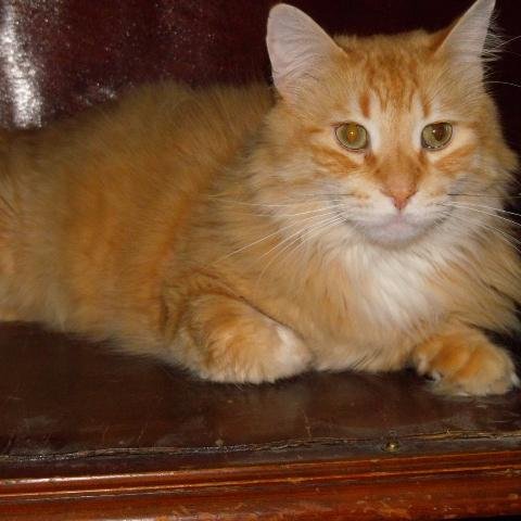 normabadger44's profile picture. Likes Country music and the Oldies 60’s