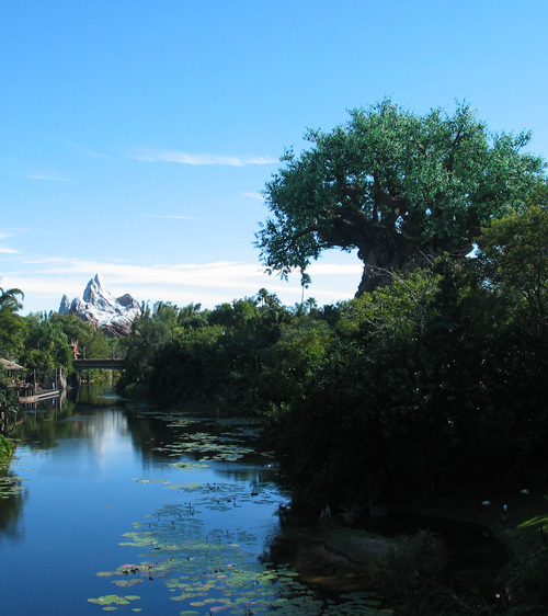 swordsman_24's profile picture. A Dad and Husband living and working in Georgia.