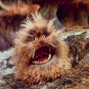 Ms_A_JW's profile picture. Middle School Science Educator