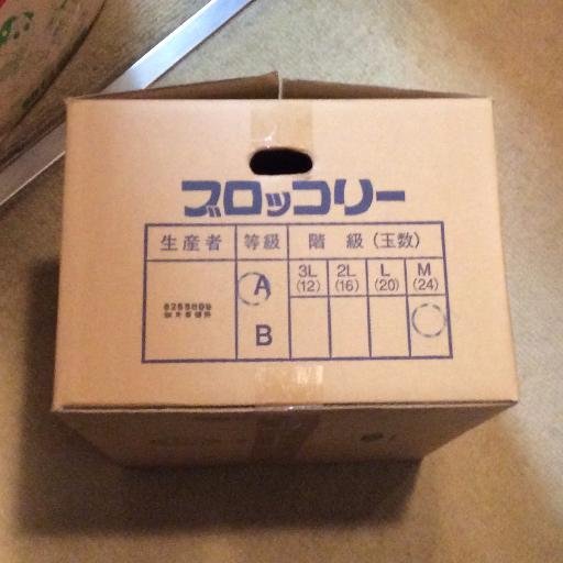 hosikuzunoie's profile picture. 30年分のダンボールの山。
ゴミ屋敷の片付け奮闘日記です。
きれいな家に住みたいな。