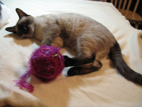 crochetkitty7's profile picture. 