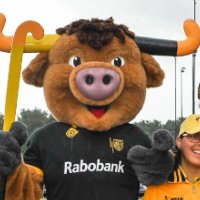 Bossche Bull (@bosschebull) 's Twitter Profile Photo Bossche Bull (@bosschebull) 's Twitter Profile Photo