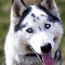 Kim Demiş? - @KimDemi11 - Twitter