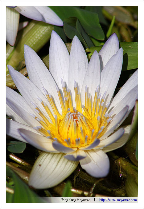 senseinews's profile picture. 