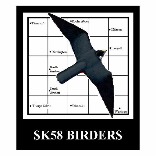 A group focused on recording the bird life of a single 10km square between Sheffield, Rotherham & Worksop  E: contact@sk58birders.com