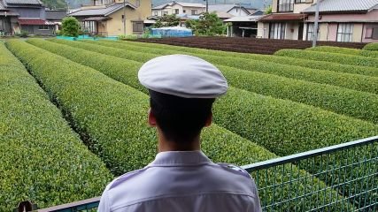 防衛大学校茶道部公式アカウントです。興味をお持ちになられた方は本校にて11月に一般解放されます開校祭にお越し下さい。