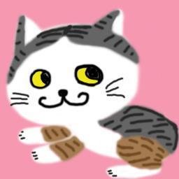 ma me iさんのプロフィール画像