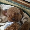 K (@01014682) Twitter