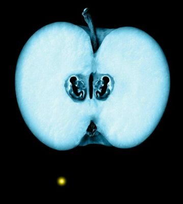 66Psych's profile picture. Un día sin sonreír es un día perdido