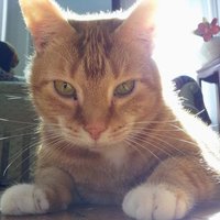 We are now on very thin ice. (@nycsocial_tw) 's Twitter Profile