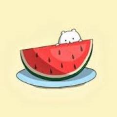 sparklight2004's profile picture. Je suis une pastèque.