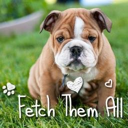 FetchThemAll is the one shopping place for dog lovers around the world. Made by dog lovers for dog lovers.
