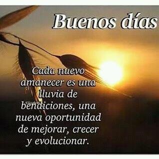 FelixZelt1's profile picture. 