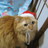 miyupanther's profile image