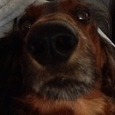 pQ_nvrforget's profile picture. 