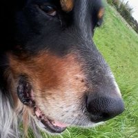 Benoît Calvez (@benoit_calvez) 's Twitter Profile
