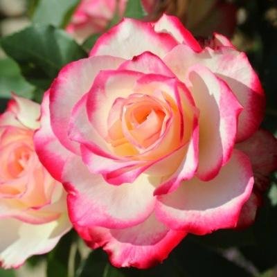 Consciousness, Meditation, Mindfulness & Authenticity.
FREE guided meditations🕉
Practice of mindfulness💫
⬇ stress 🌸
⬆ body awareness 🌸
⬆calm 🌸