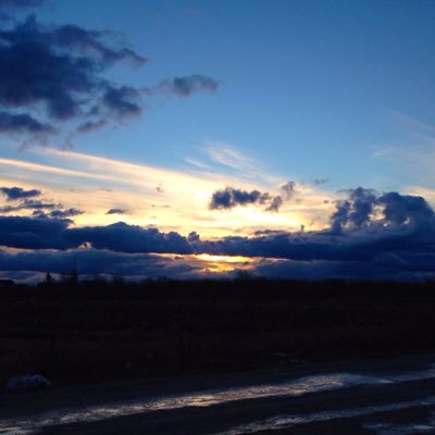 ibrakeforpastry's profile picture. 