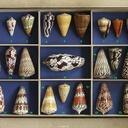 jenny Benson - @iHateAcne - Twitter