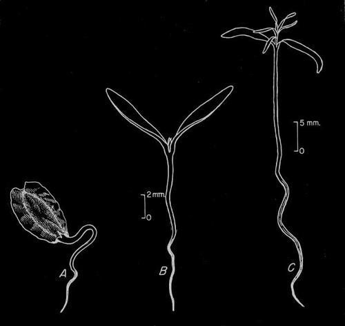 WhenWeWasYoung's profile picture. When We Was Young embraces rural folk and bar rock styles to celebrate whiskey soaked pursuits that listeners are sure to remember. Tweets mostly by @benelling