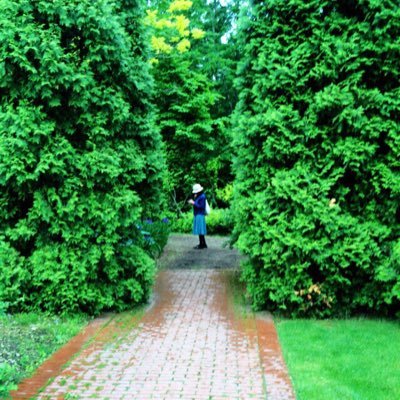 Hana113C's profile picture. 🃏 LGO〜BTS/Jimin 、J-hope🃏Schroeder-Headz 🃏NonaReeves 🃏MotoharuSano🃏堂島孝平🃏堀込泰行