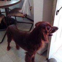 Ivan Ramos (@ivanr21) 's Twitter Profile