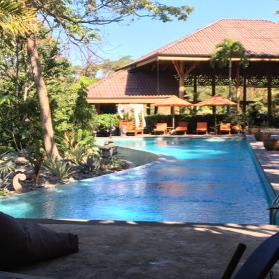 witty_david's profile picture. 