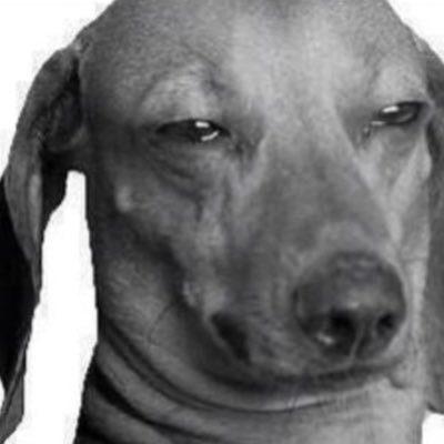 lots of anxiety and excessive sarcasm all bundled up into one sleep deprived package