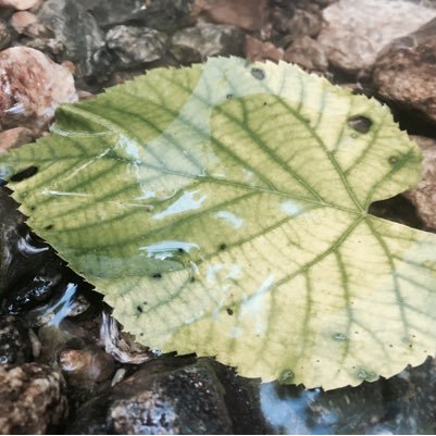 kenzielee86's profile picture. deleted