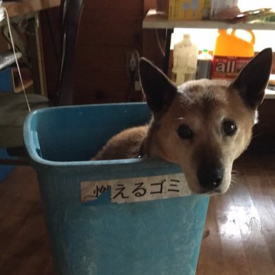 mmmatomm3's profile picture. 山梨県上野原市でパソコン教室・茶道教室・自然写真家をしています。仕事に固執しないで、ここではトレンドを研究しています。