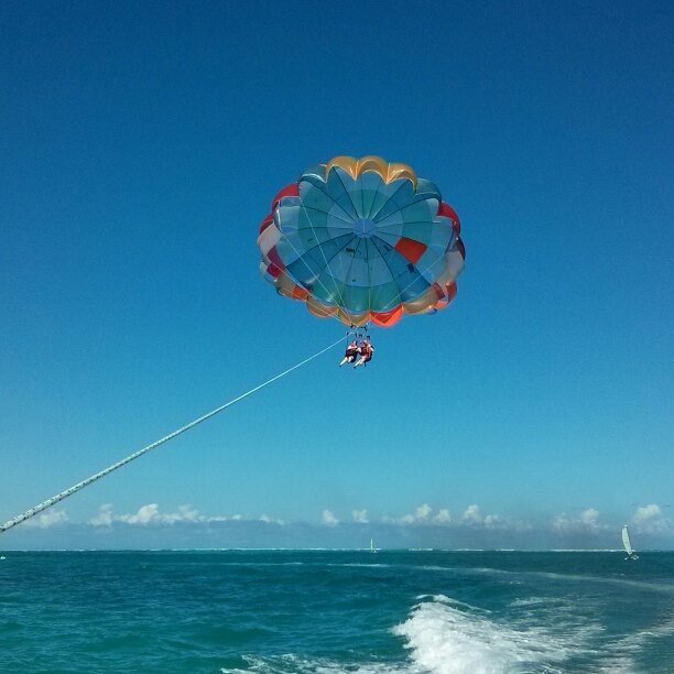 donya_k's profile picture. 