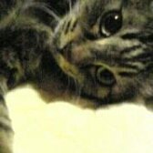 まろん (@0604maron) 's Twitter Profile Photo