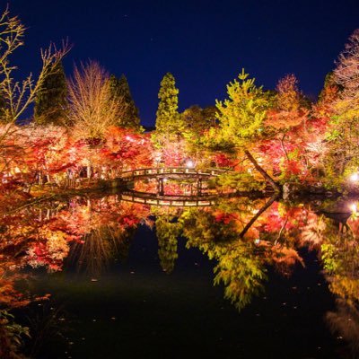 ট ইট র 元気が出る言葉 相互フォロー 何十年先も君を友達って思ってる 夢の続き何でも話してよ いいことばかりじゃない この先の僕等の毎日に これだけはずっと言える 本当有難う 友 よ 相互ﾌｫﾛｰ Rtした人全員フォローする Twitter Rt希望 言葉