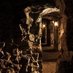 MercatTours (@mercattours) Twitter profile photo MercatTours (@mercattours) Twitter profile photo