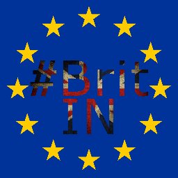 britain_in's profile picture. A fathers Day wish @strongerIn, #StrongerIn, In many senses I'm #britin