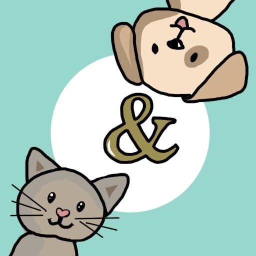 kotopesichki's profile picture. Ваша дневная доза хорошего настроения